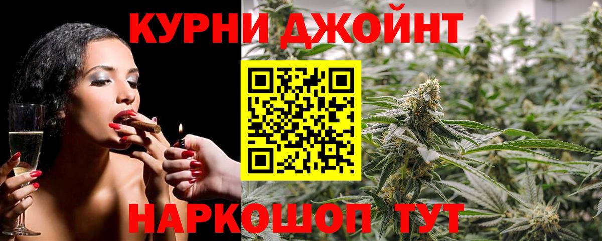 Бошки Шишки семена Асино